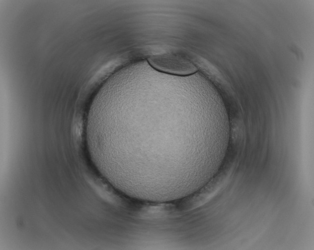 X0000113250072200910011355