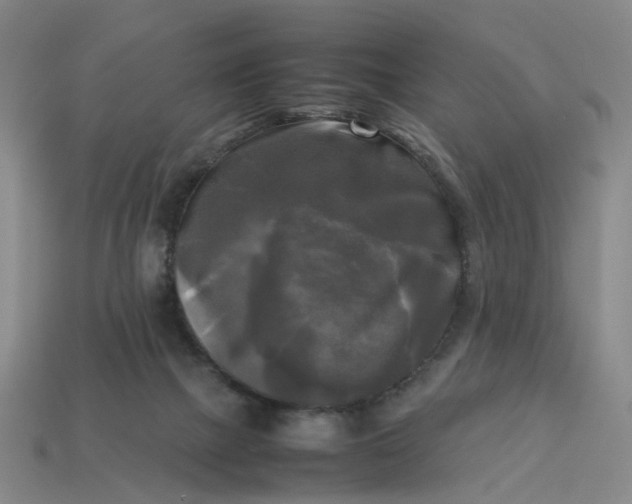 X0000113250073200910011355