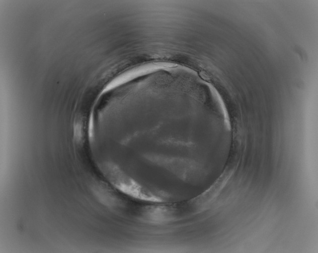 X0000113250074200910011355