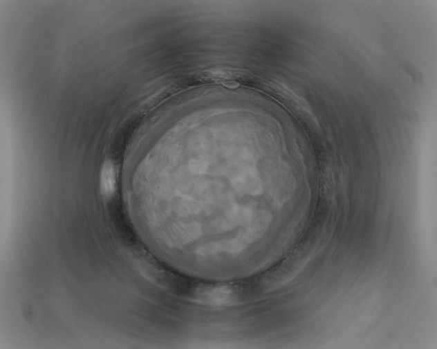 X0000113250075200910011355