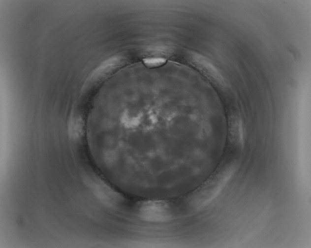 X0000113250077200910011355