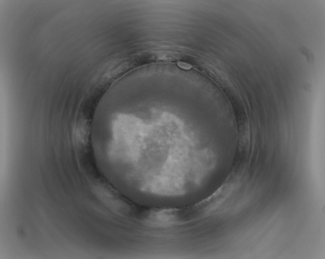 X0000113250078200910011355