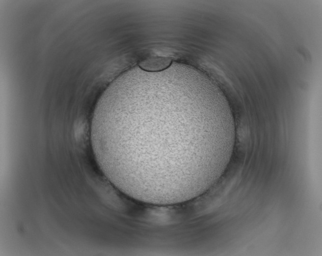 X0000113250079200910011355