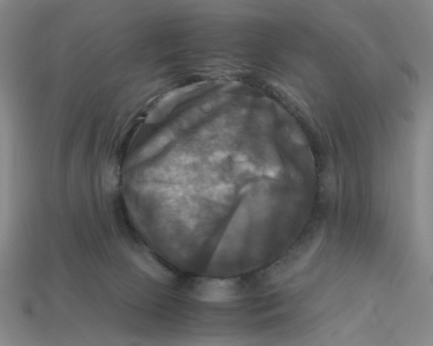 X0000113250081200910011355