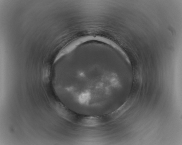 X0000113250082200910011355