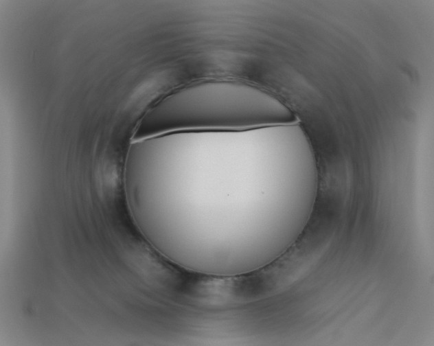 X0000113250084200910011355