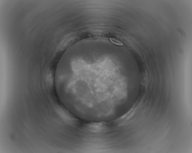 X0000113250086200910011355