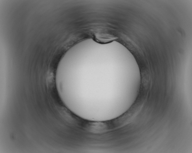 X0000113250087200910011355