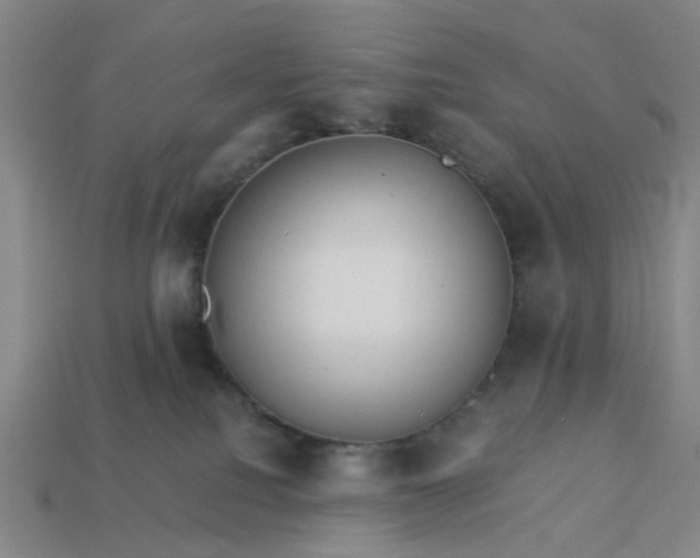 X0000113250088200910011355