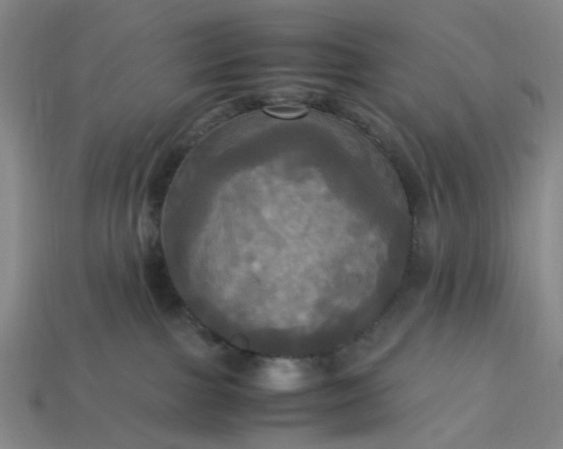 X0000113250091200910011355