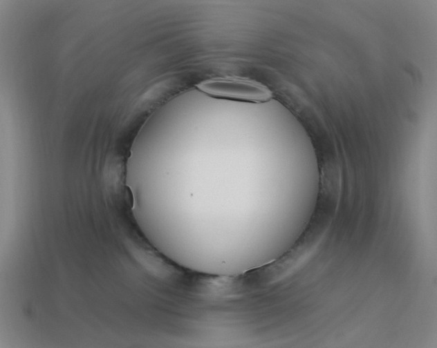 X0000113250092200910011355