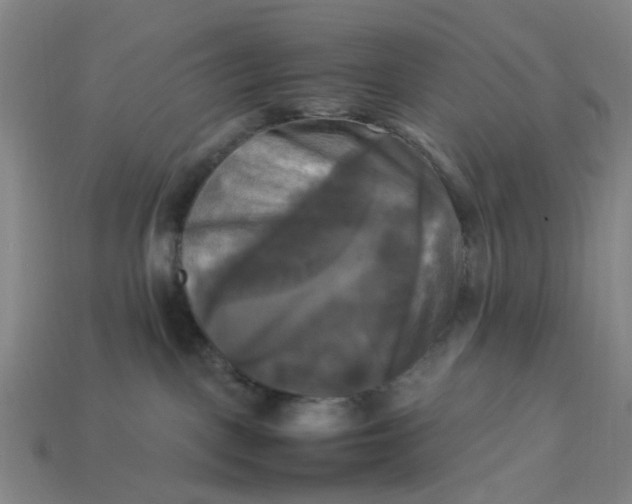 X0000113250093200910011355