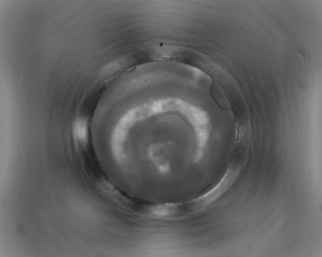 X0000113250094200910011355