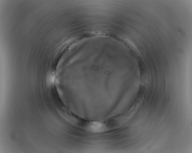 X0000113250095200910011355