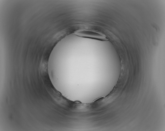 X0000113250096200910011355