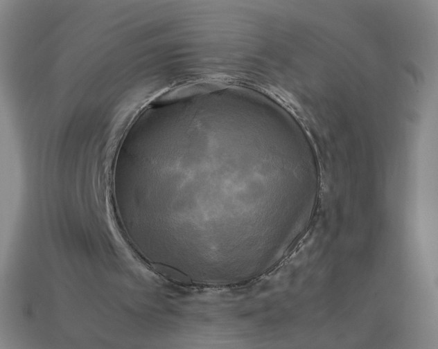 X0000113250097200910011354