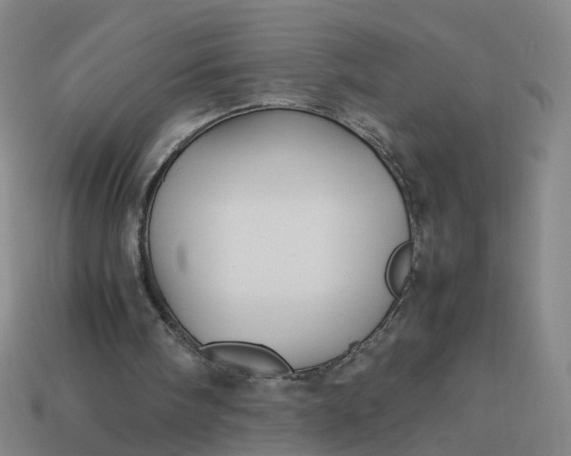 X0000113250098200910011354