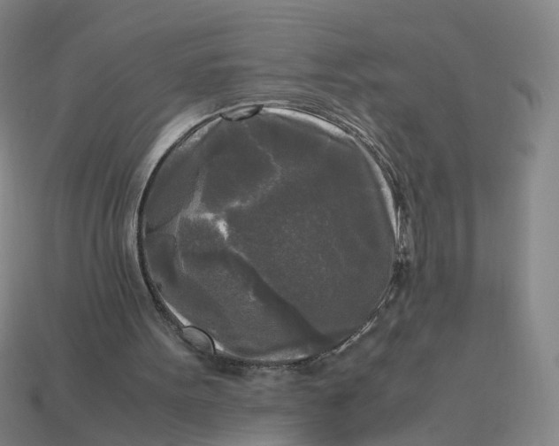 X0000113250099200910011354