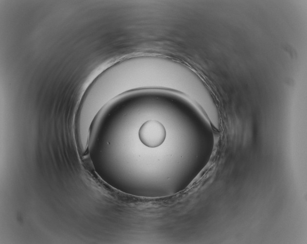 X0000113250100200910011354