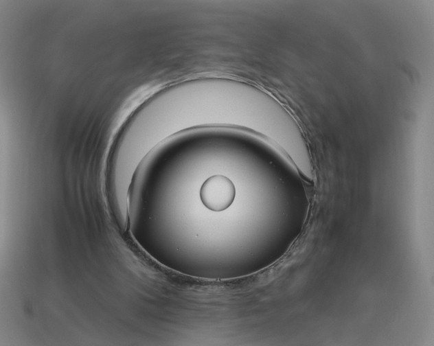 X0000113250104200910011354