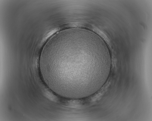 X0000113250105200910011354