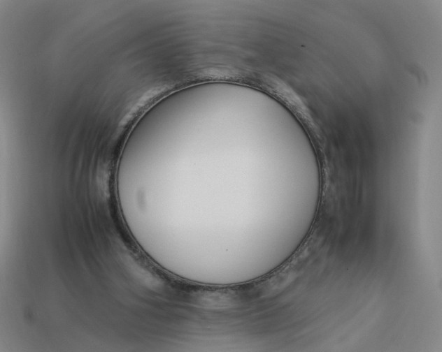 X0000113250106200910011354