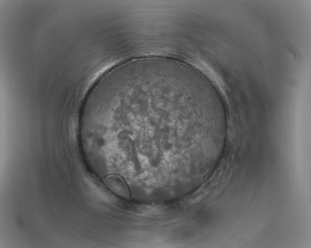 X0000113250107200910011354