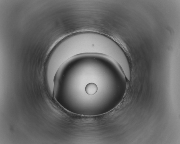 X0000113250108200910011354