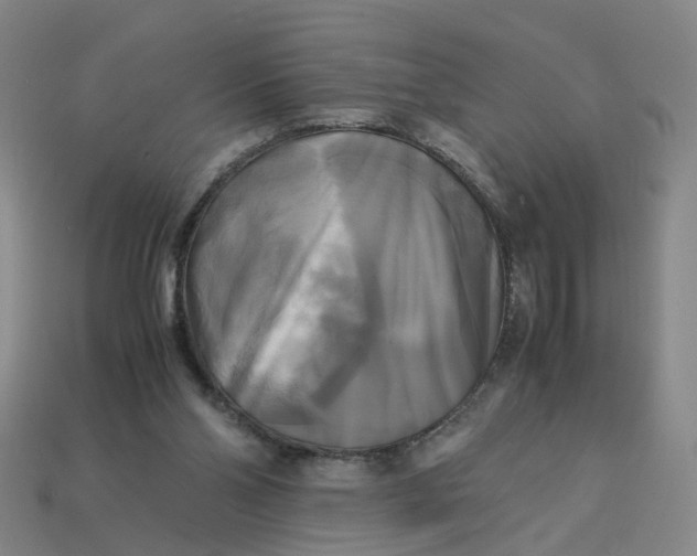 X0000113250110200910011354