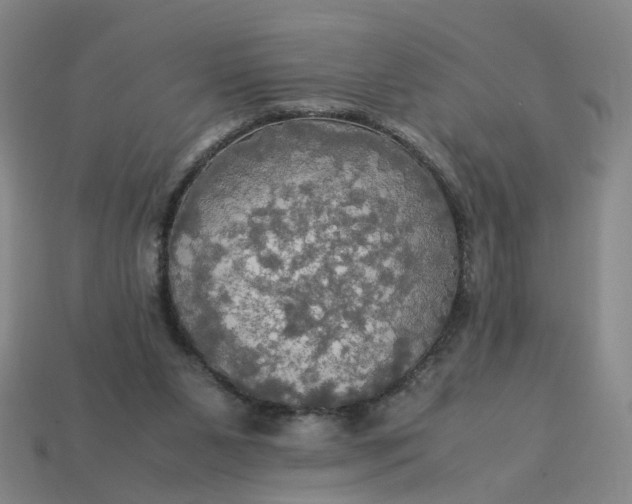 X0000113250111200910011354