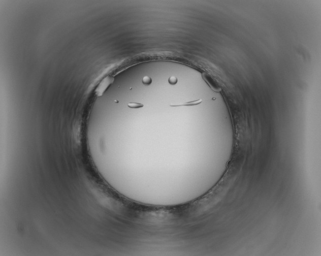 X0000113250112200910011354