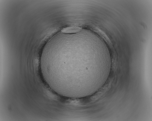 X0000113250113200910011354