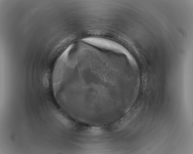 X0000113250114200910011354