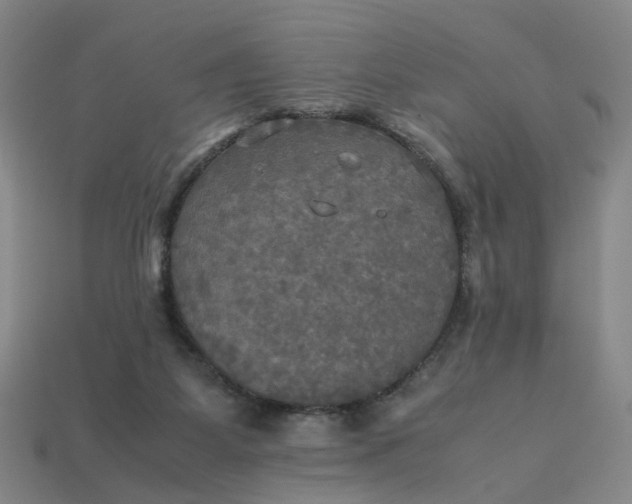 X0000113250115200910011354