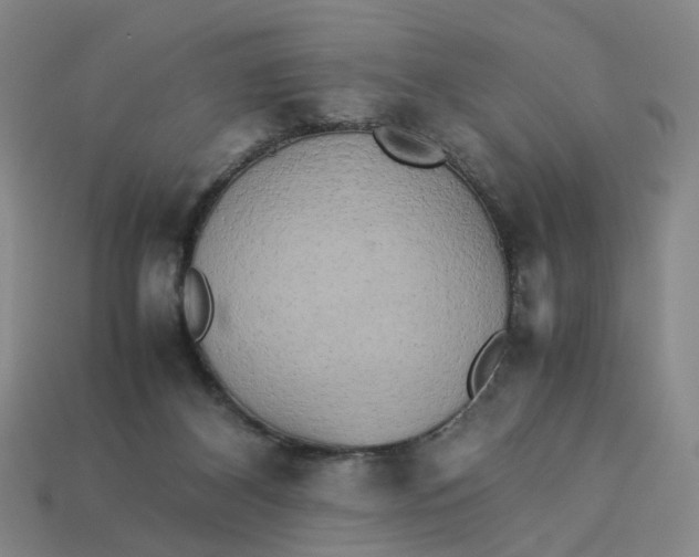 X0000113250116200910011354