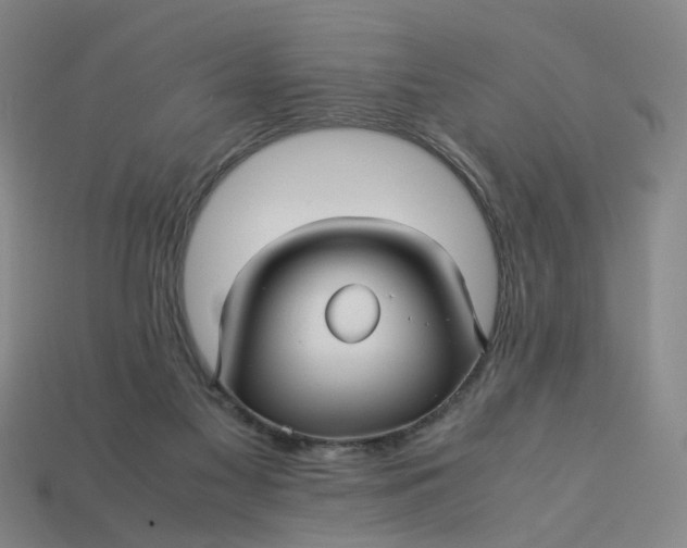 X0000113250117200910011354