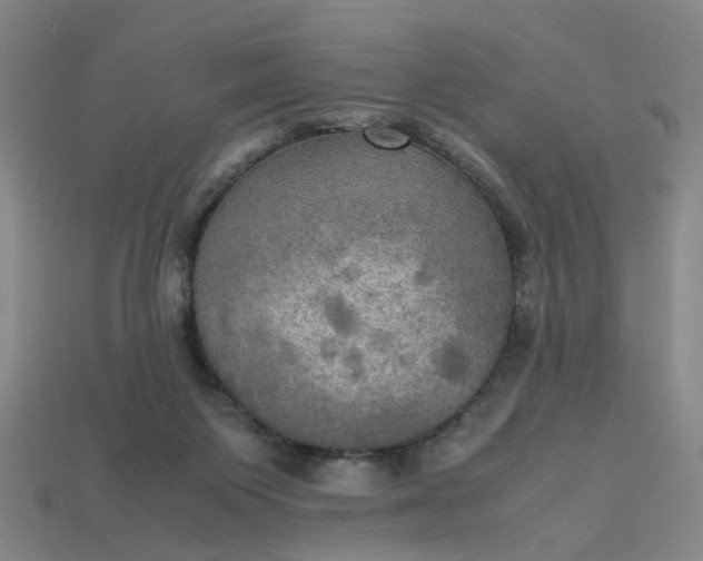 X0000113250119200910011354