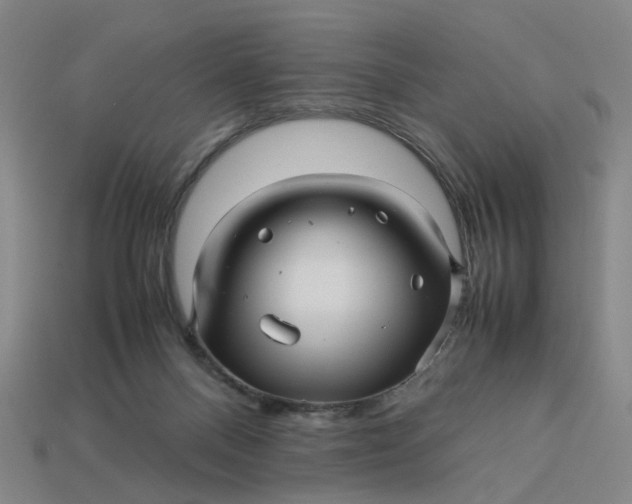 X0000113250120200910011354