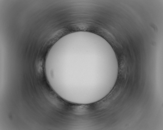 X0000113250122200910011354