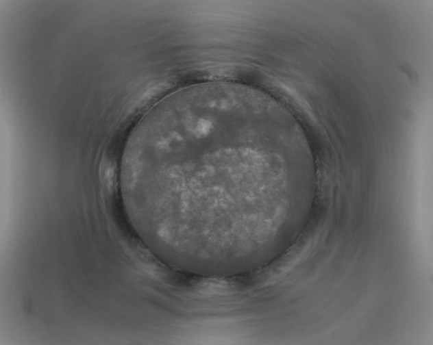 X0000113250123200910011354