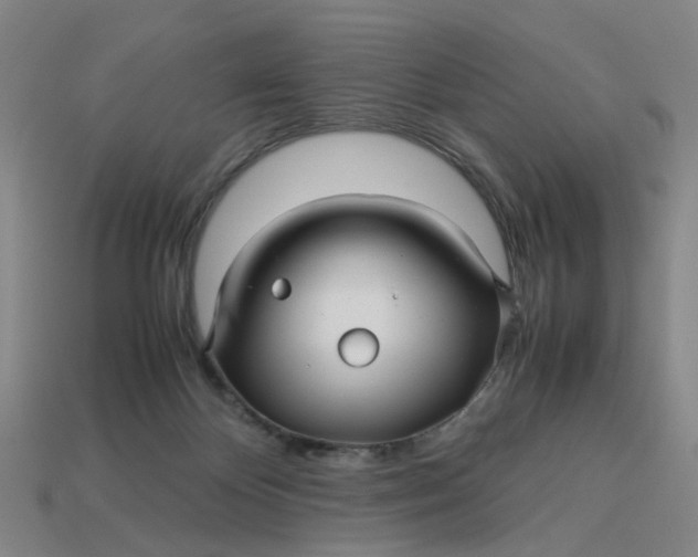 X0000113250124200910011354