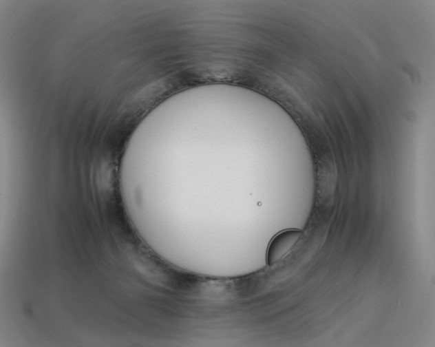 X0000113250126200910011354