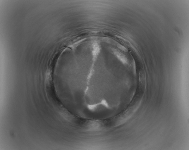 X0000113250127200910011354