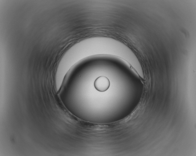 X0000113250128200910011354