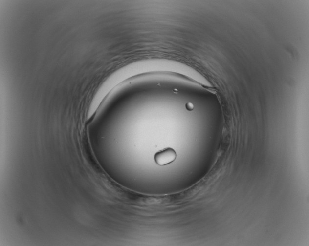 X0000113250129200910011354