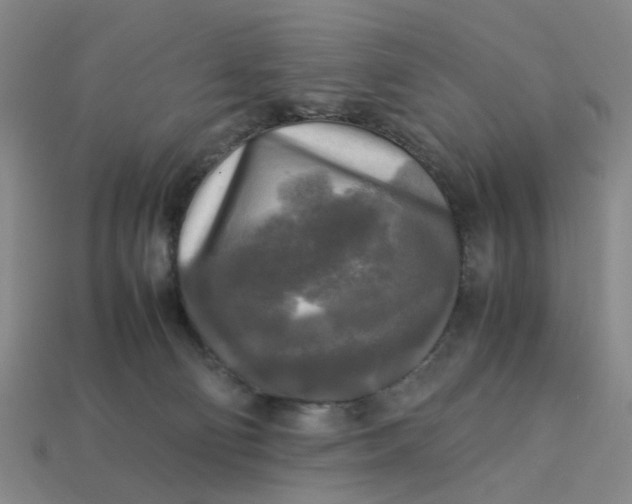 X0000113250130200910011354