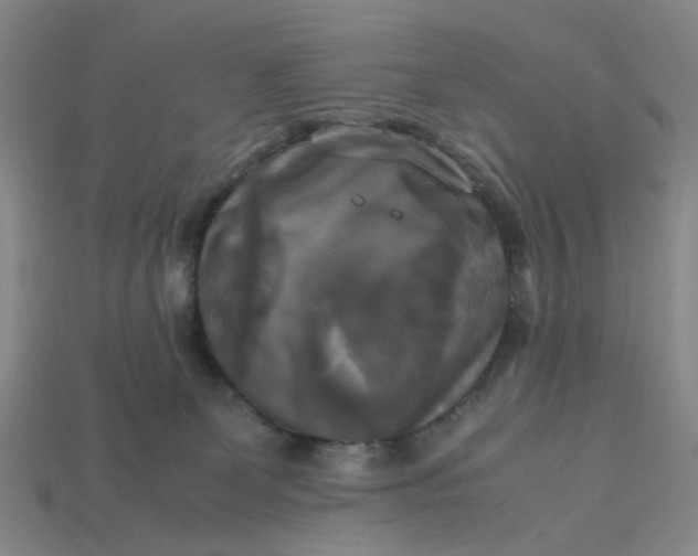 X0000113250131200910011354