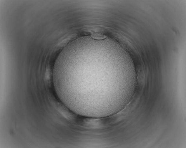 X0000113250132200910011354