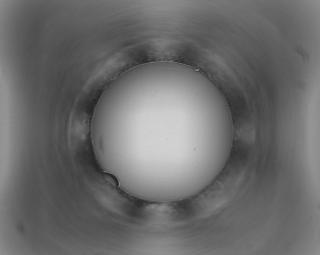 X0000113250133200910011354