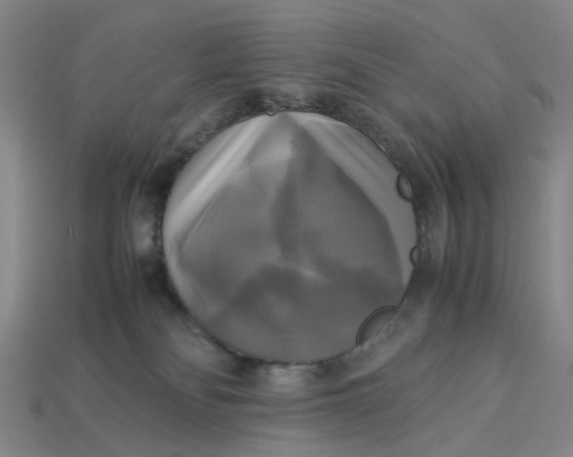 X0000113250134200910011354